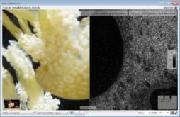 Video Quality Measurement Tool